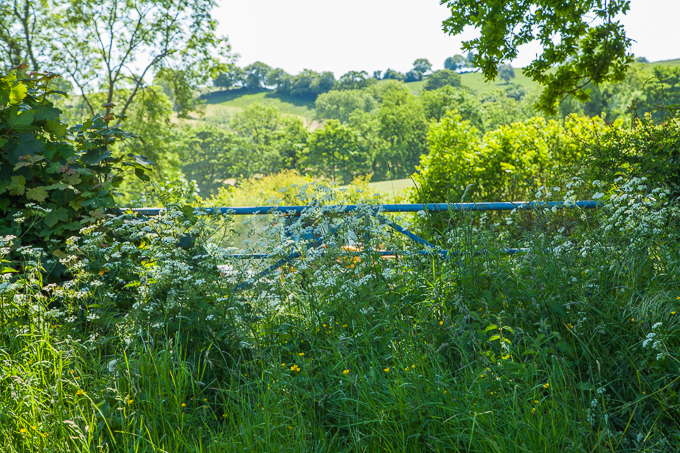 Gates (06)